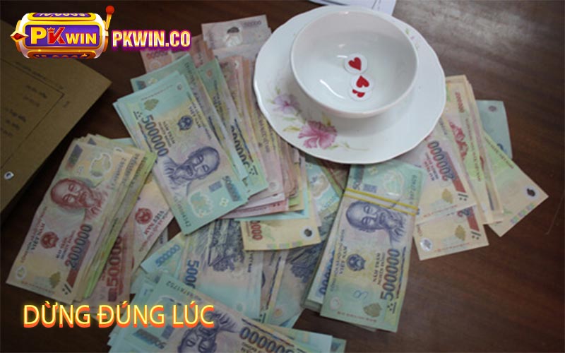 Dừng-Đúng-Lúc