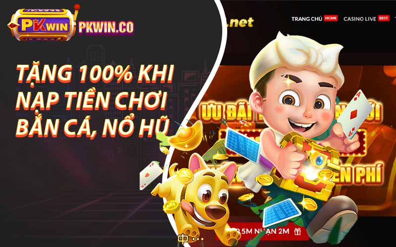 Tặng 100% khi nạp tiền chơi bắn cá, nổ hũ 