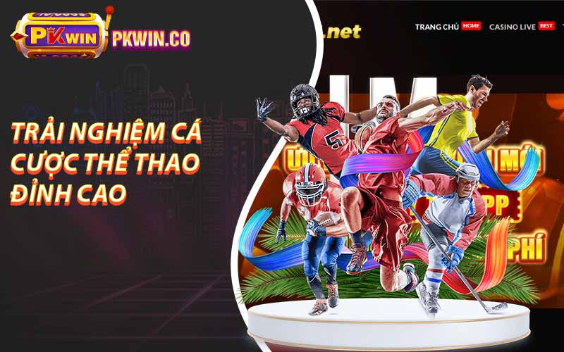 trải nghiệm cá cược thể thao đỉnh cao 